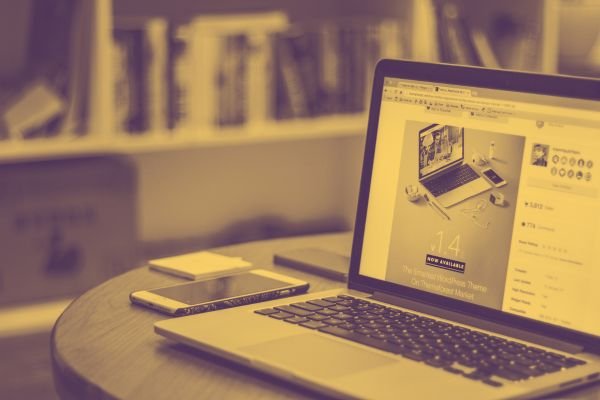 Funcionalidades avanzadas para páginas web profesionales